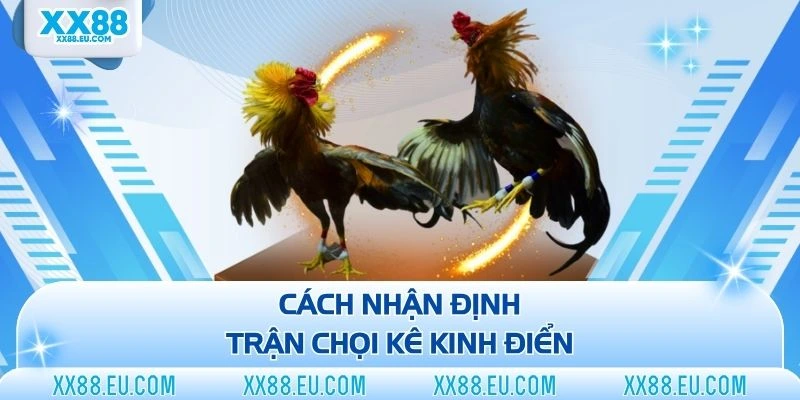 Cách nhận định trận chọi kê kinh điển